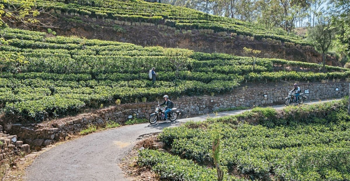Bullets in Tea Land – Sri Lanka long ride