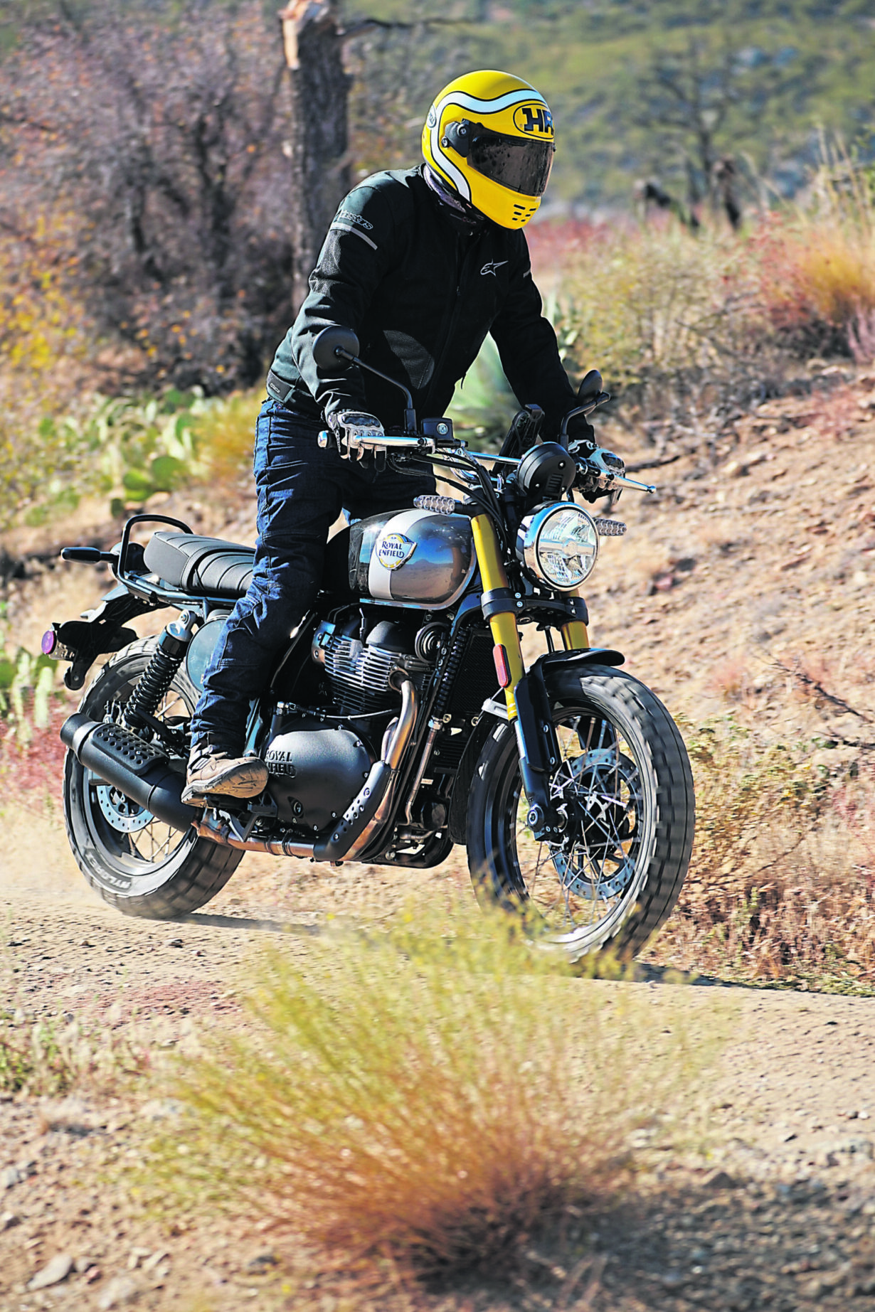 Royal Enfield Bear 650