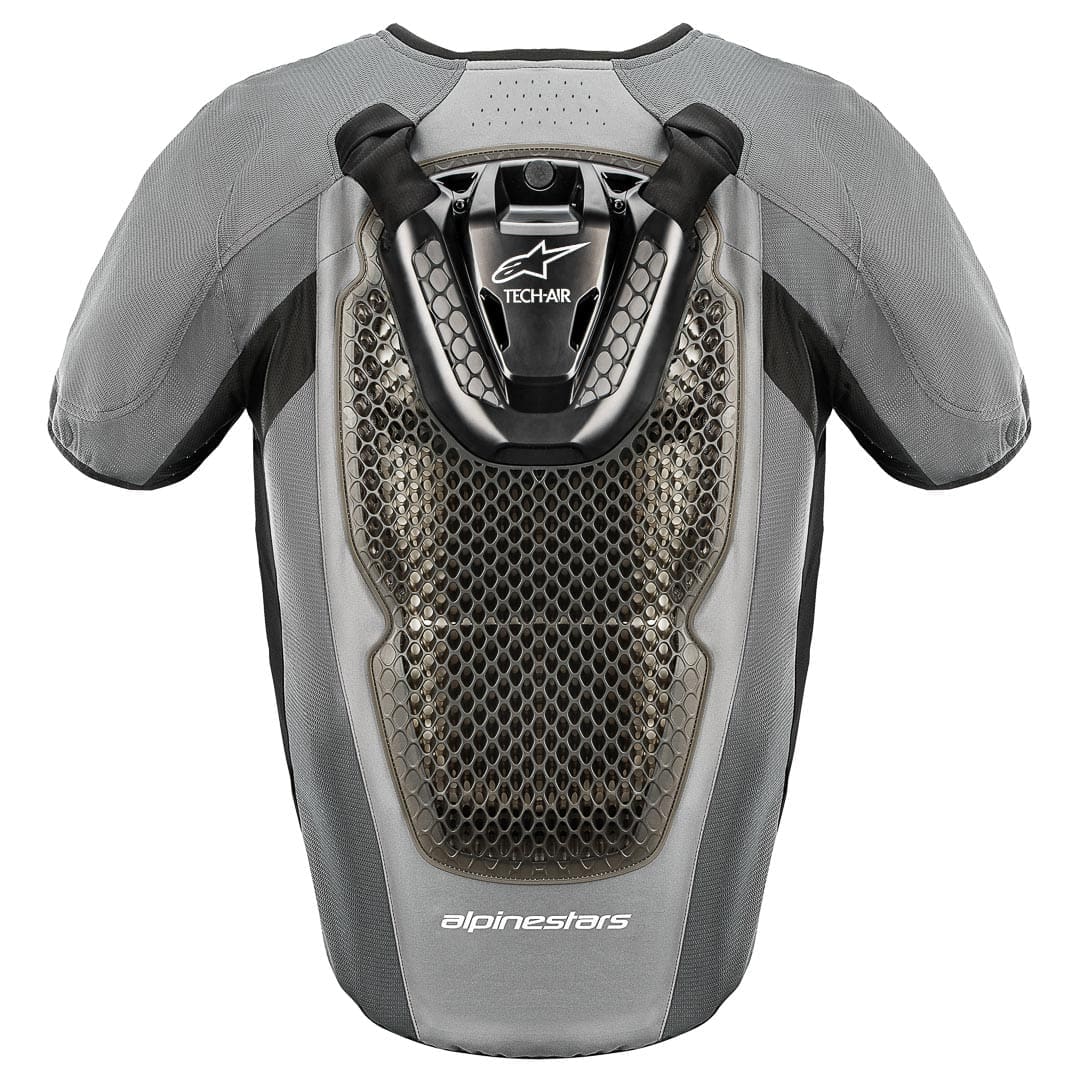 Back protector