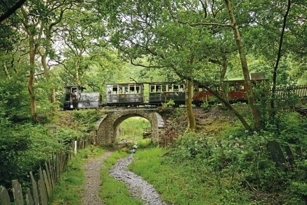 No.11 Trecwn departs Dolgoch station with the Glyn Valley Tramway coaches