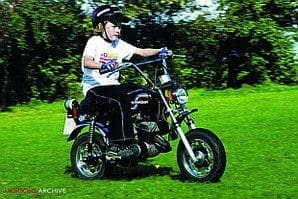 298_wd7110320harley-1