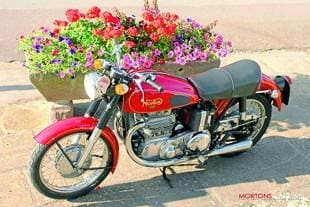 Ariel Norton special
