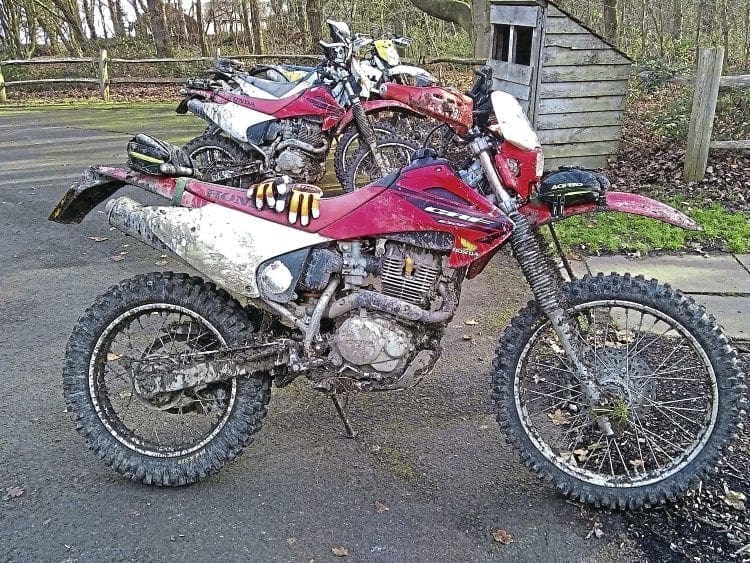 XR200R’s younger sibling