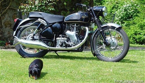 A Velocette and a (non-angry) dog, yesterday...