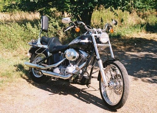 Reclining lazily in the spring sunshine, the Softail waits patiently to scare some more children and small mammals.