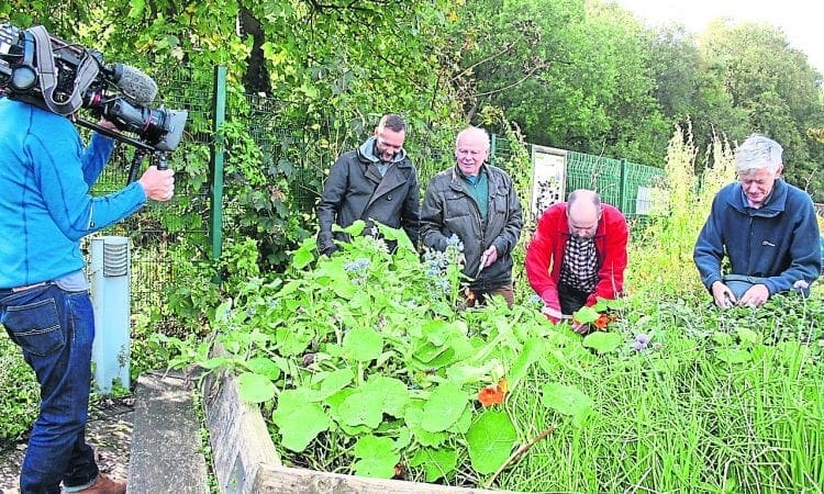 Towpath gardeners get a good thing going