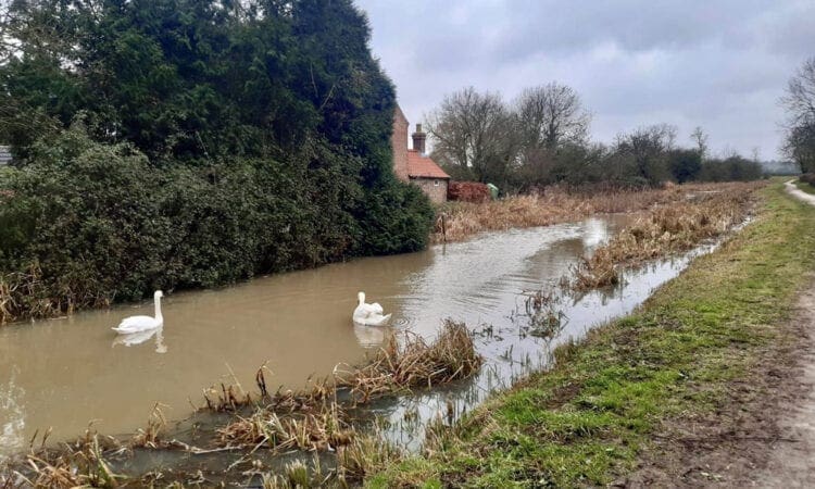 Charity begins reed clearance to improve habitats on the Grantham Canal
