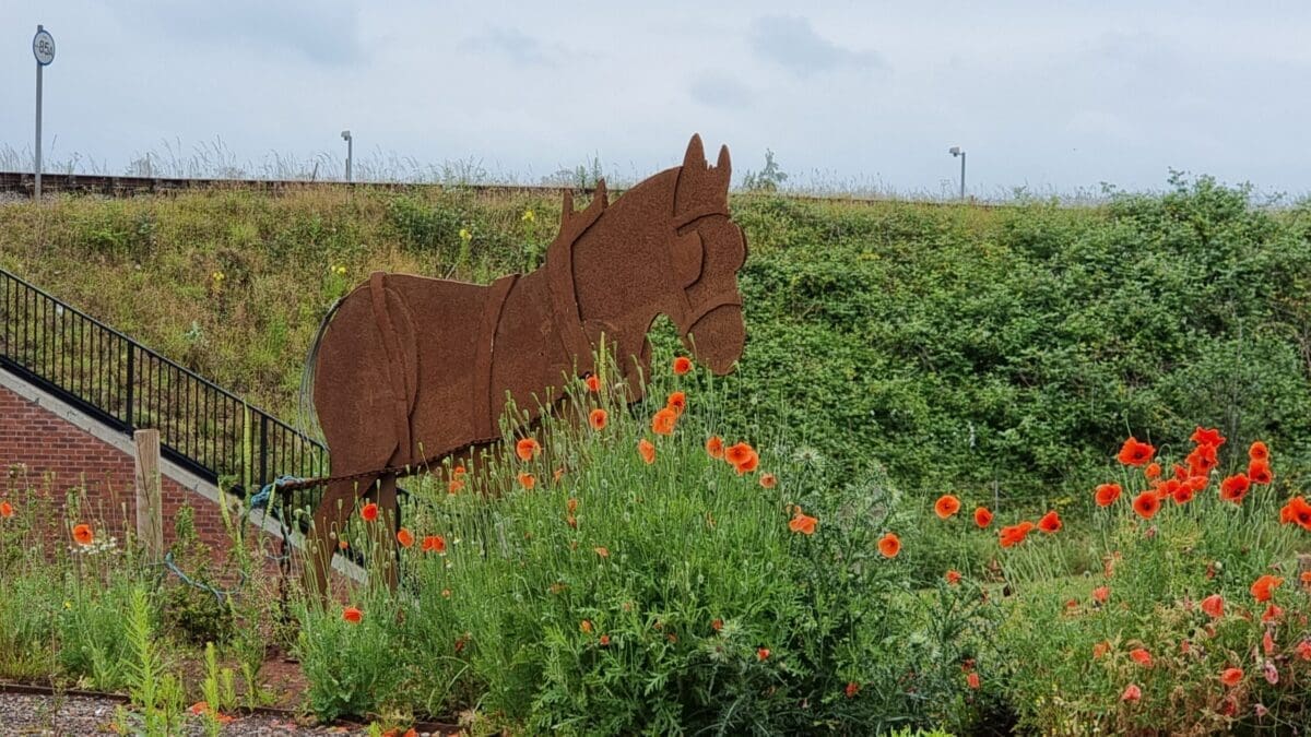 Lichfield fundraising appeal metal horse sculpture