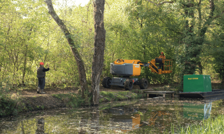 Ash dieback hits trees along the canal bank
