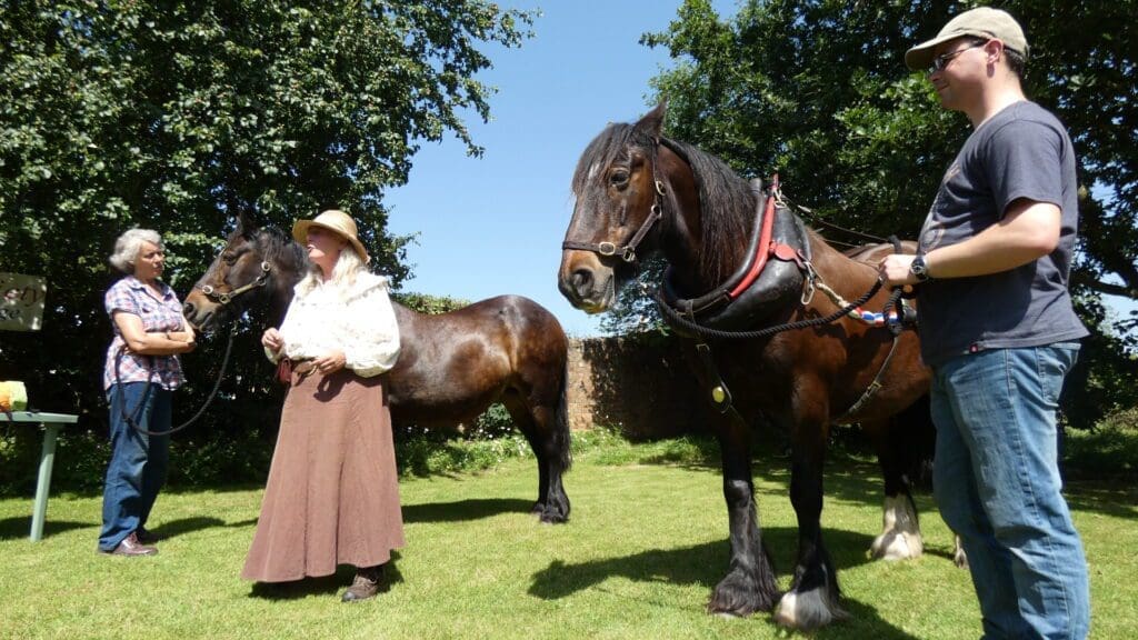 Sue Day giving a demonstration with the boat horses. Photo: Sarah Spencer