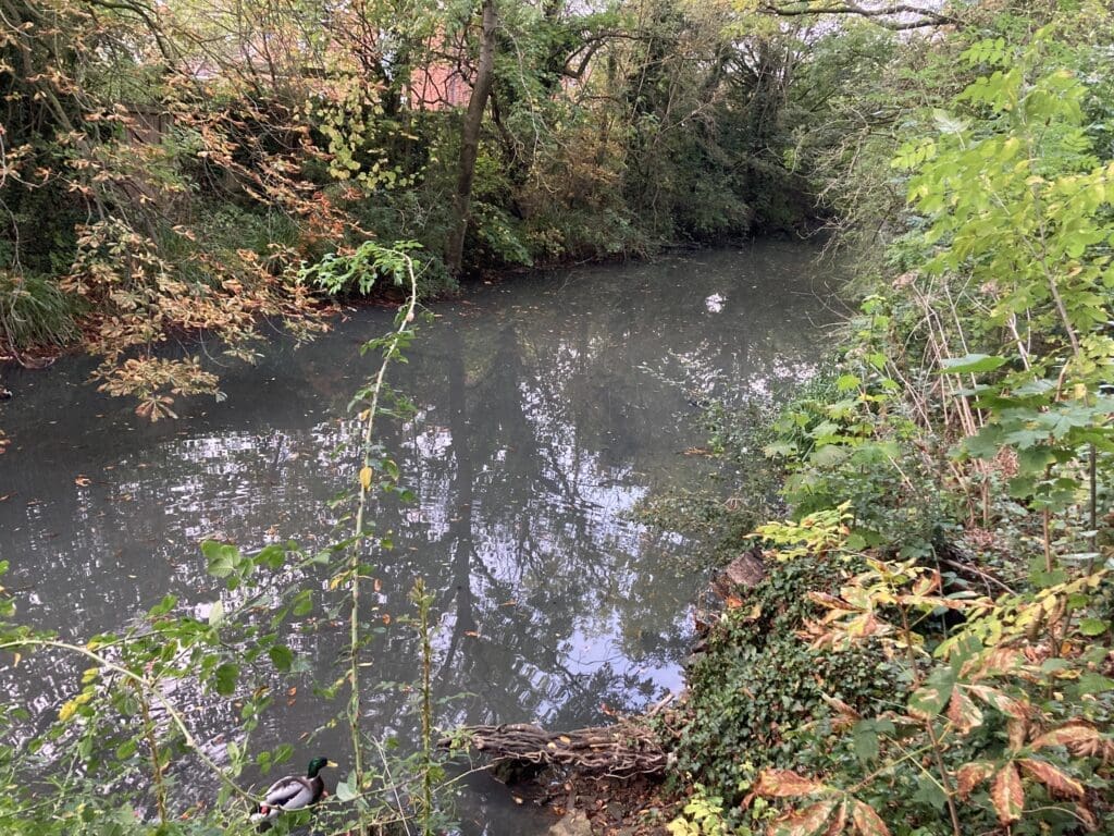 The Oakham to Melton Canal