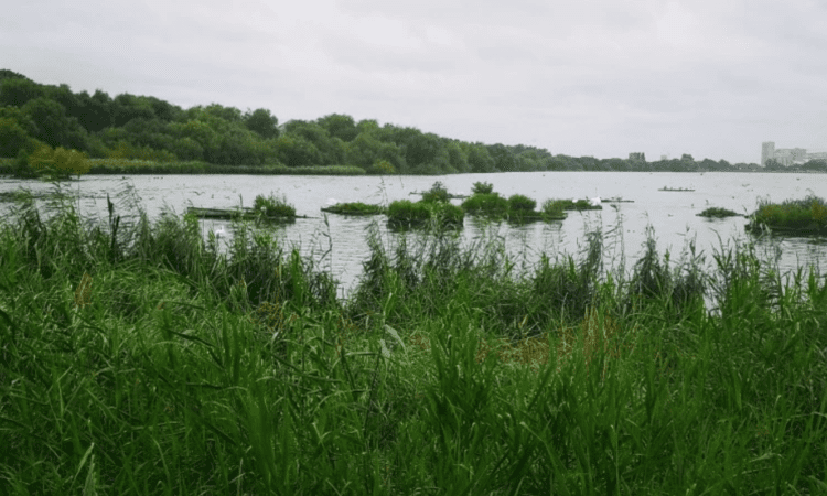Two weeks left for local people to have their say on the future of Welsh Harp Reservoir
