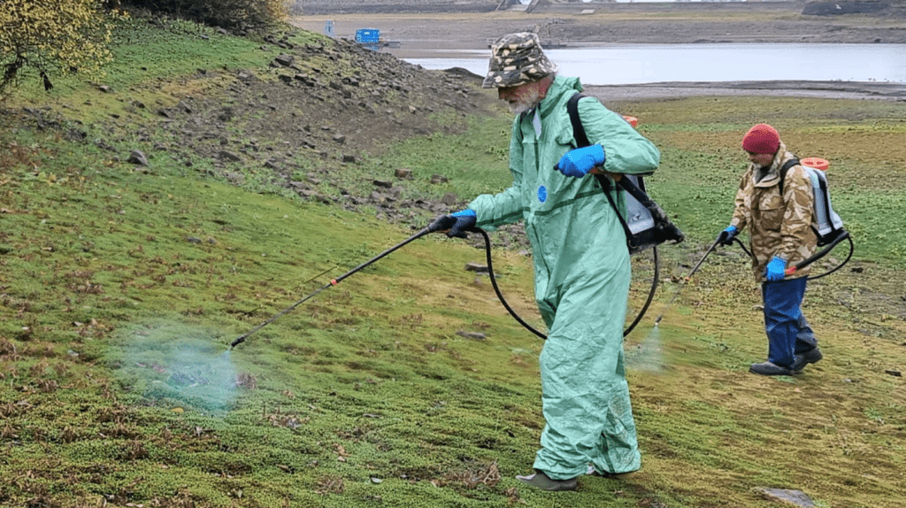 Volunteers from the Angling Trust and Prince Albert Angling Society join the Canal & River Trust mission to reduce invasive New Zealand pygmy weed at Bosley Reservoir.