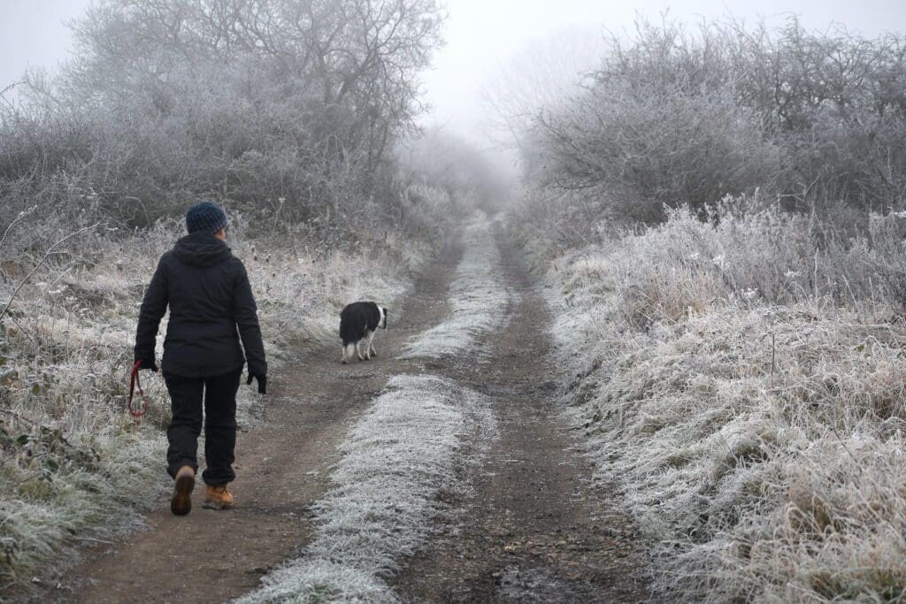 No matter what the weather, Nicky and Blaze get out for their twice-daily walks.