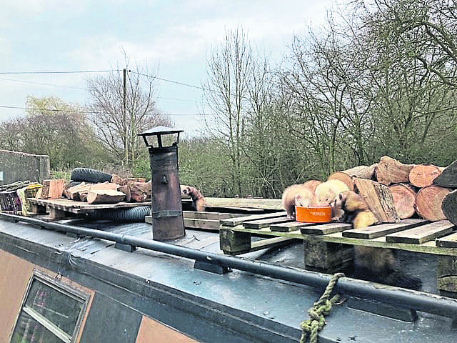 The ferrets feeding on the narrowboat roof.