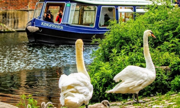 Things to Do! Summer holiday family fun at Chichester Canal