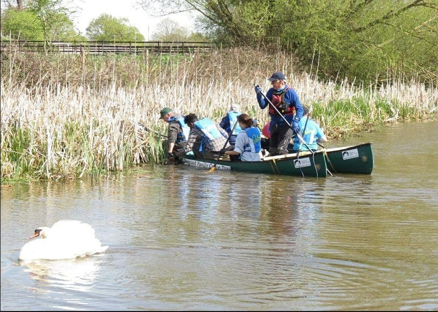 Chester Pennywort patrol