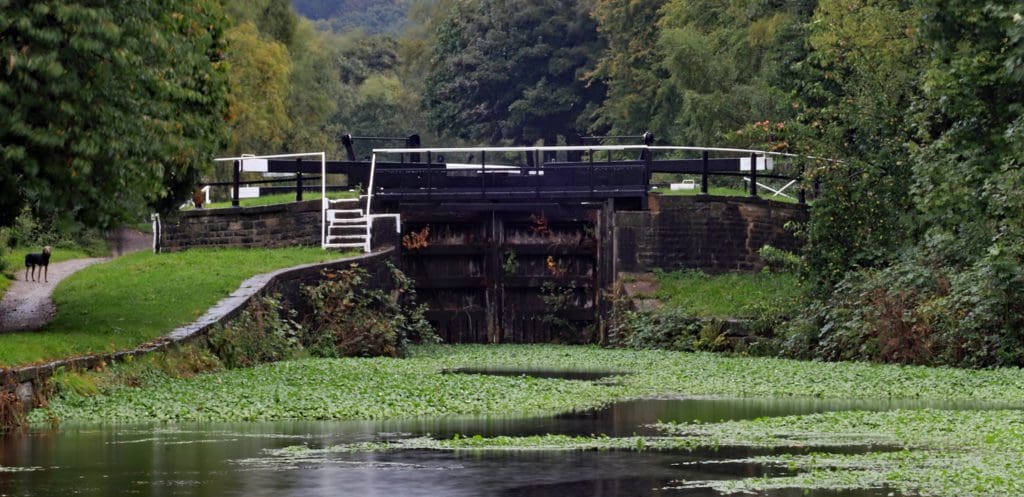 Cw 9070 Rain and Duck weed at the top of the Wigan flight 30.9.2022 no 1 It’s raining at the top of the Wigan flight of locks on Friday the 30.9.2022. Due to the dry summer and maintaince work on Barrowford reservoirs these locks where closed to navigation on the 18th of July 2022 and no boats has passed up or down the flight since, which has resulted in the duck weed being un disturbed to grow. Will the present rain be enough to provide enough water for the locks to be reopened before next year or the winter maintaince work starts on the locks? Back in 2018 the locks where closed from July but reopened towards the end of October for a few days o allow boaters to get back to their hoe moorings for winter, if it carries on raining may be this could happen again this year? Image Cw 9074 copyright Colin Wareing of Colin and Carole’s Creations www.thewoolboat.co.uk www.colinandcarolescreations.co.uk E-mail colinandcarolescreations@yahoo.co.uk Phone no 07931 356204