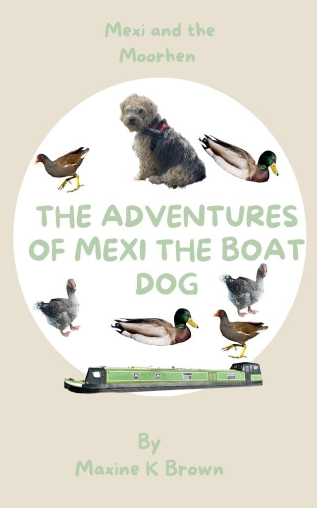 mexi cover 1 adventures