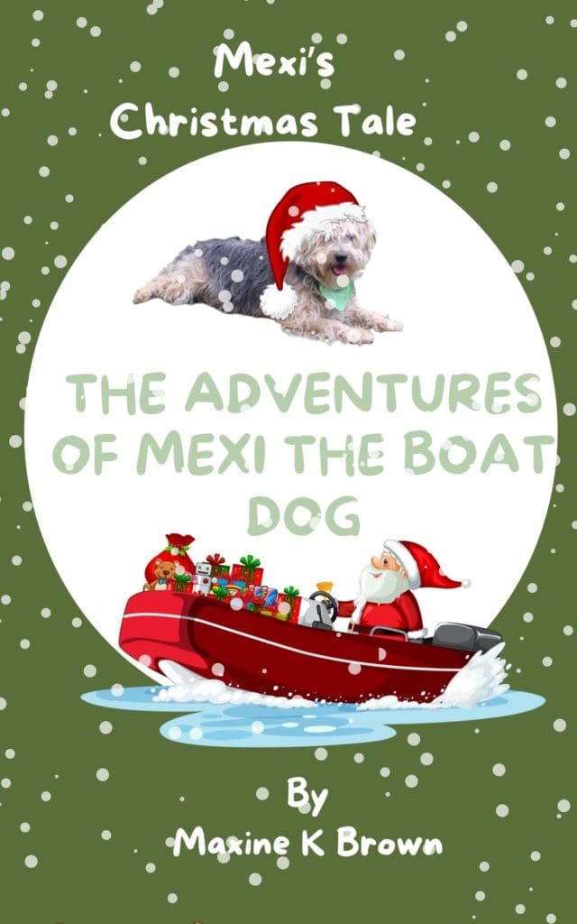 mexi cover 3 christmas