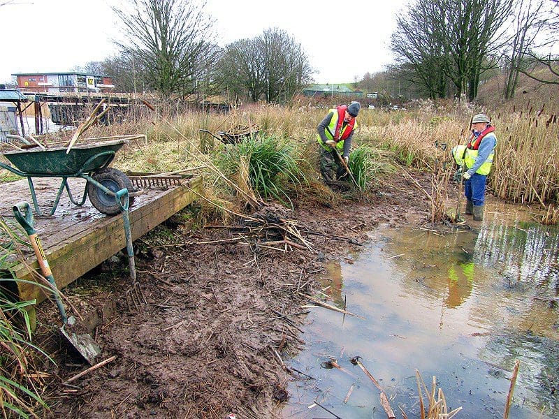Volunteers Lancaster canal habitats