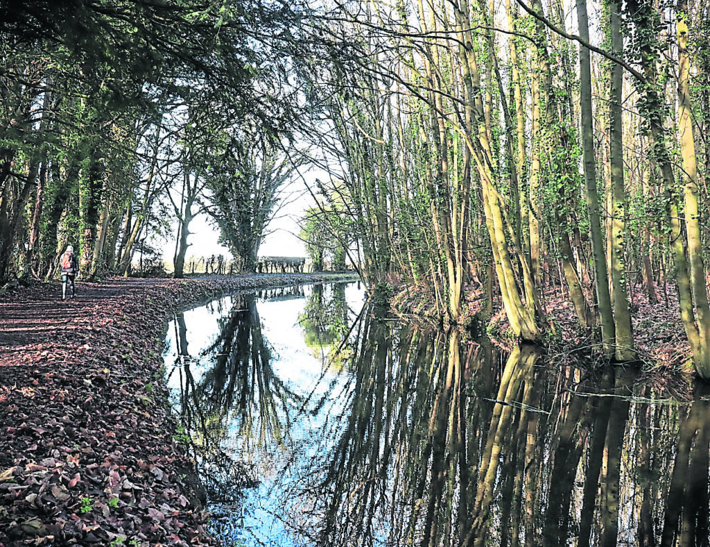 Stephen Smith’s reflective image of a tree-lined stretch was in third place.  