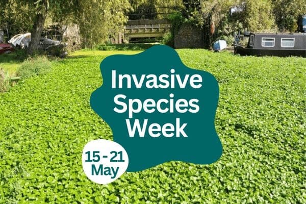 Invasive Species Week returns 15 – 21 May