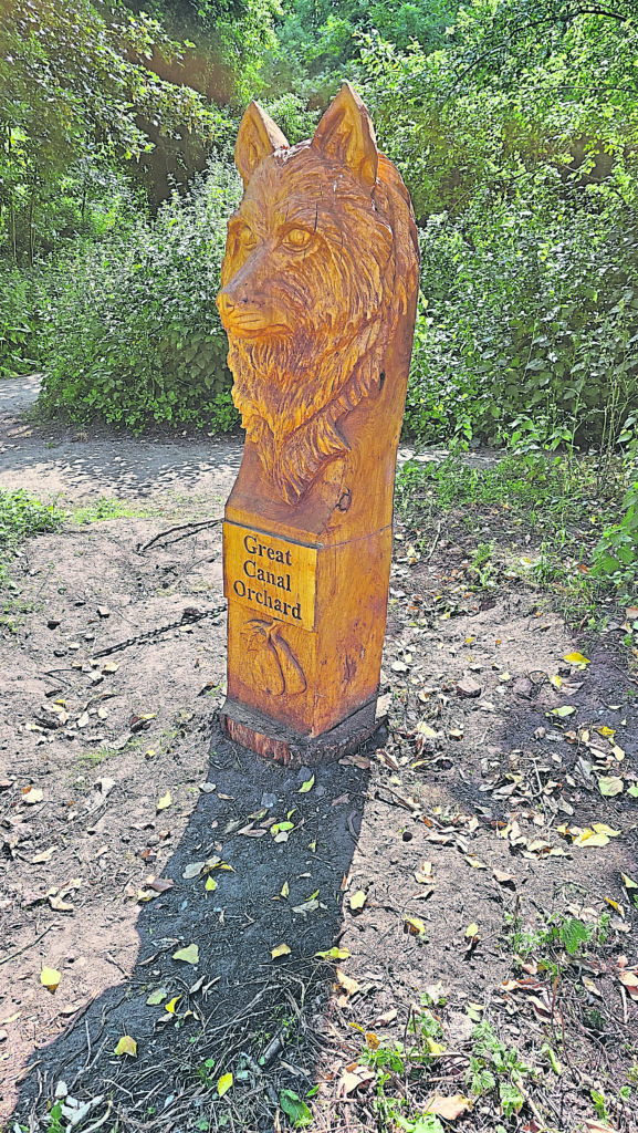 Wolfie is the first of 50 mile markers along the Great Canal Orchard.