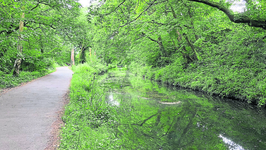 The Swansea Canal near Trebanos. PHOTO: GC