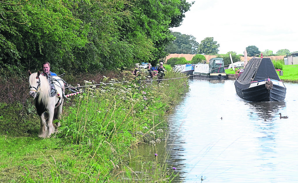 Flower hauling Saturn along the Shroppie.