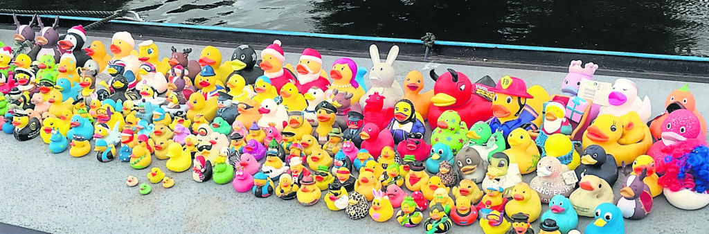 Just a few of the ducks on the boat roof.... all colours, sizes and styles, ready to raise a smile.