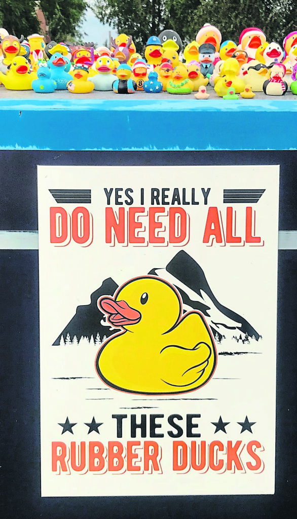 The duck poster on the side of the boat.