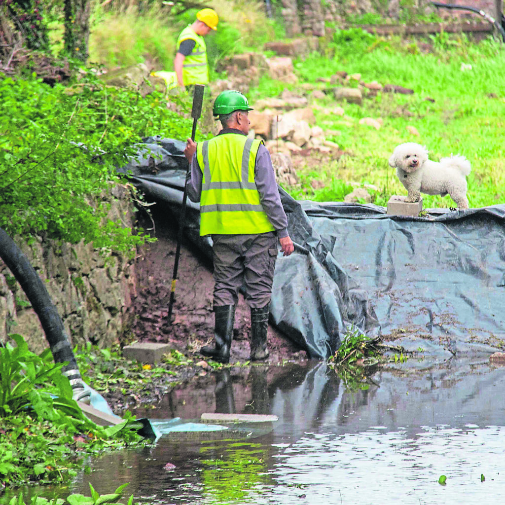 Tom Fulda meets Milo – a regular visitor to the canal. PHOTOS: SUCS