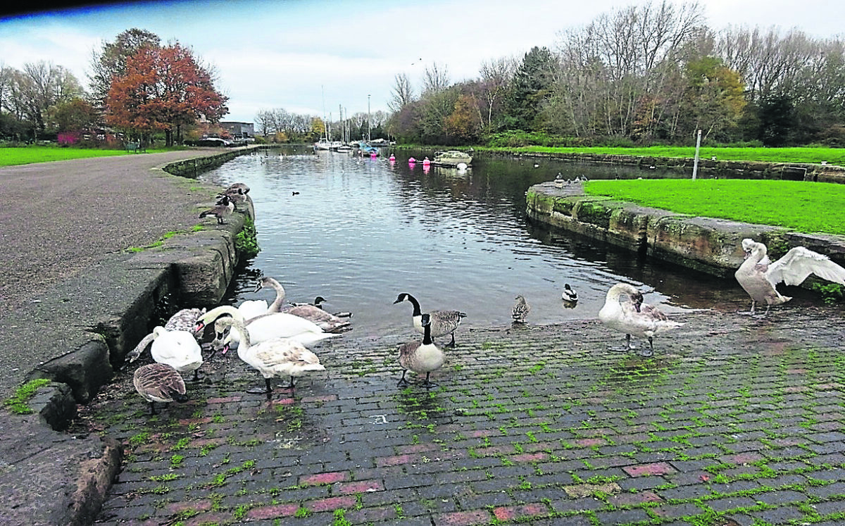 Brighter days ahead for Sankey-St Helens Canal