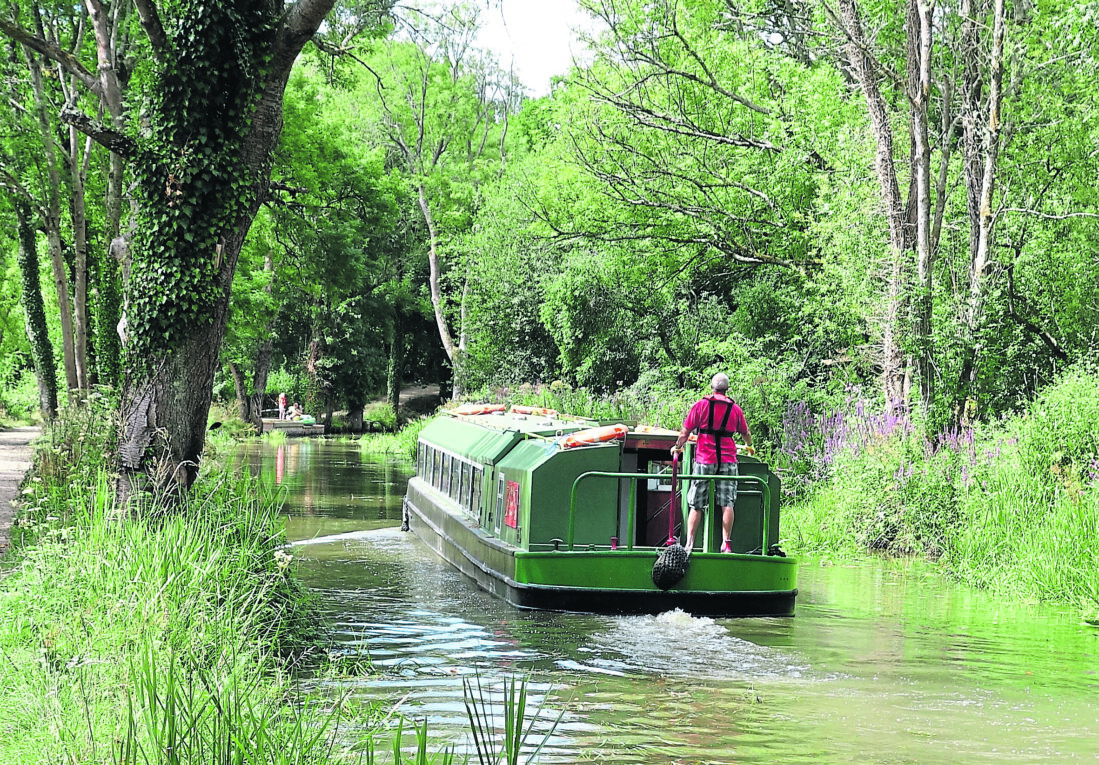 Spring cruises on the Wey & Arun Canal