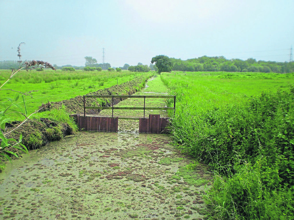 The Canal and River Trust spends £1 million a year tackling water-borne weeds. PHOTO: MAX WADE, AECOM