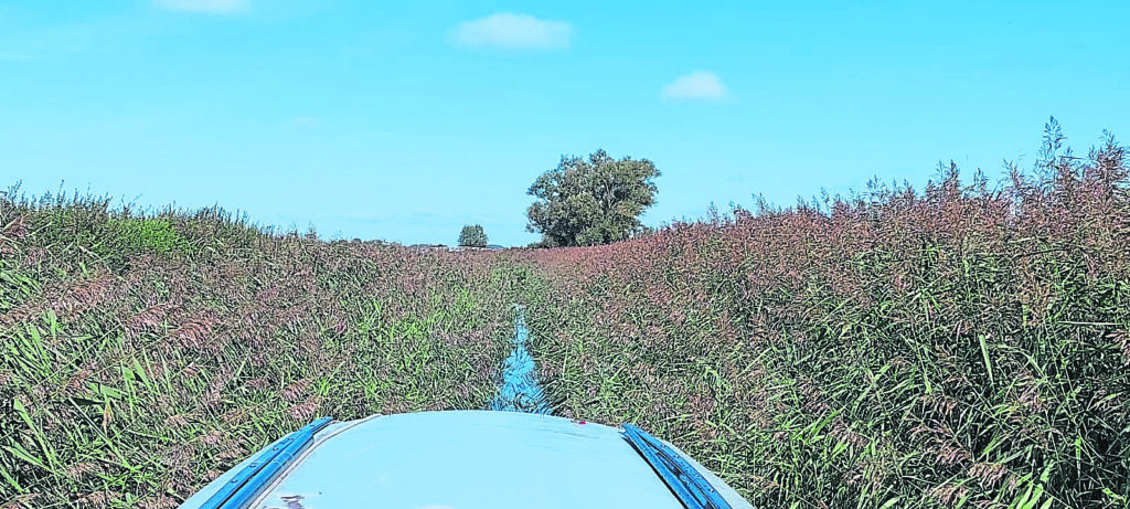 Reach Lode, Cambridgeshire. PHOTO: IVAN CANE