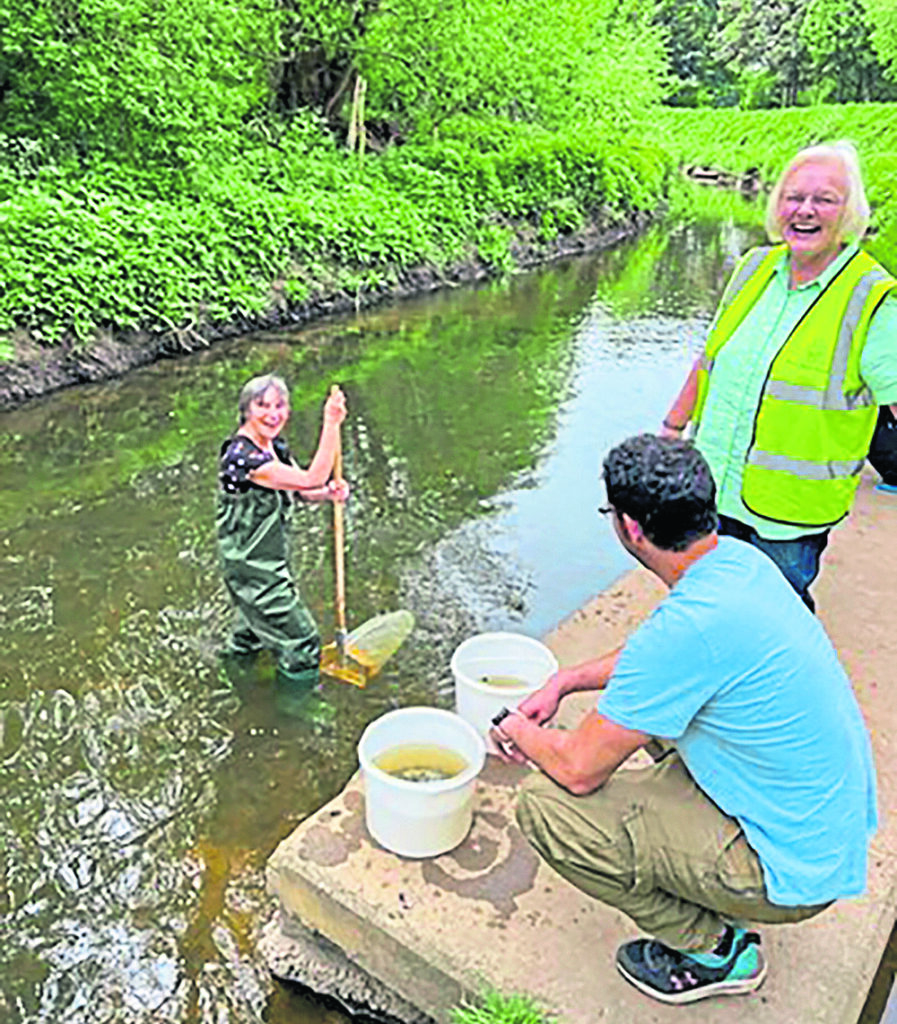 Sampling on the River Foss with volunteers Lynne Clark in the river and Ruben Hernandez with Barbara on the bank. PHOTO: SARAH WATSON