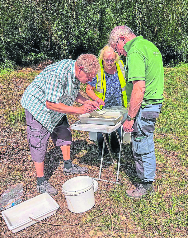 RIVER FOSS: Citizen Science Project