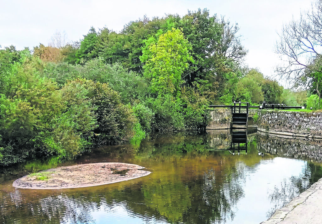 Silting at Clashganny Lock, River Barrow Navigation. PHOTO: COURTESY OF TOWPATH TIM