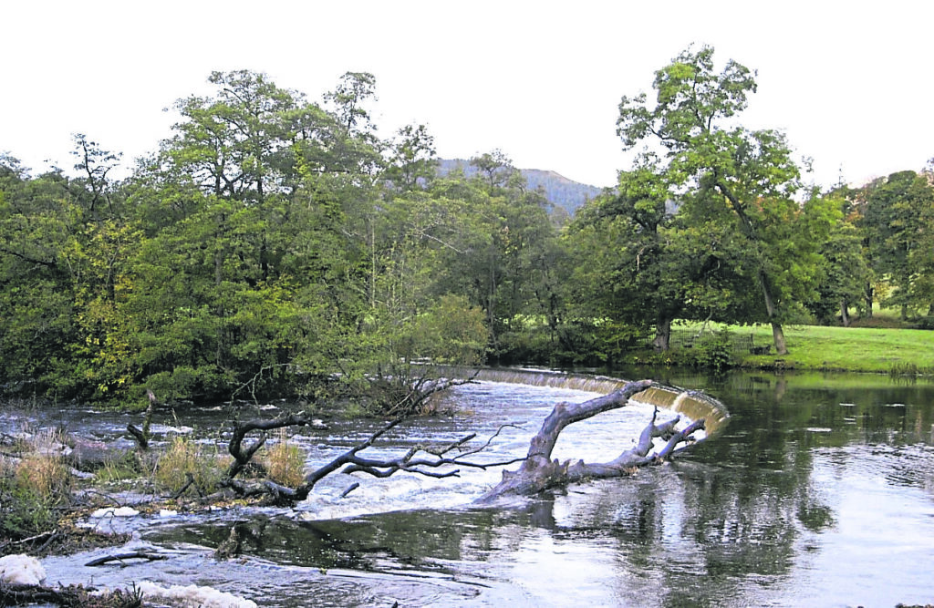 Horseshoe Falls on the River Dee, which supplies water to the Llangollen Canal, including water carried via the Llangollen Canal to the 21-acre Hurleston Reservoir, which holds 85 million gallons of public drinking water supply for south Cheshire. PHOTO: ADRIAN RAYSON