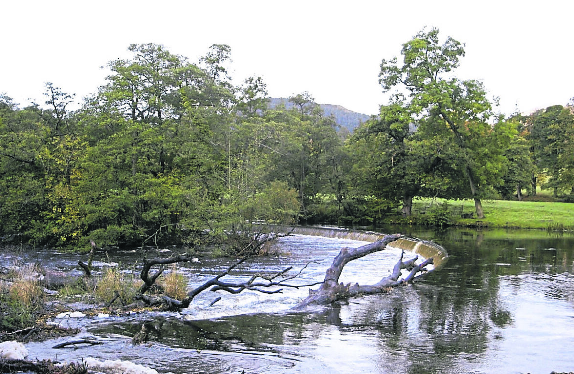 IWA urges ‘joined-up’ thinking in water review