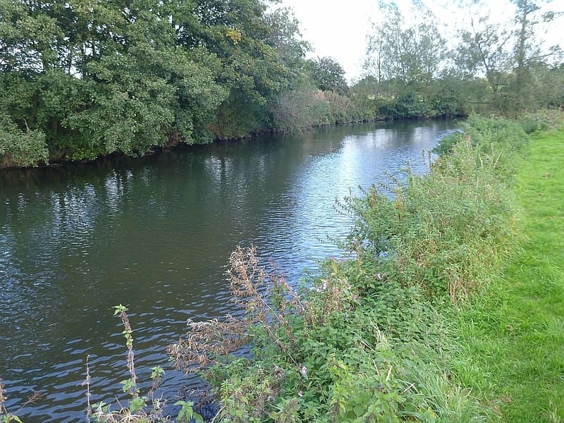 River Dove
