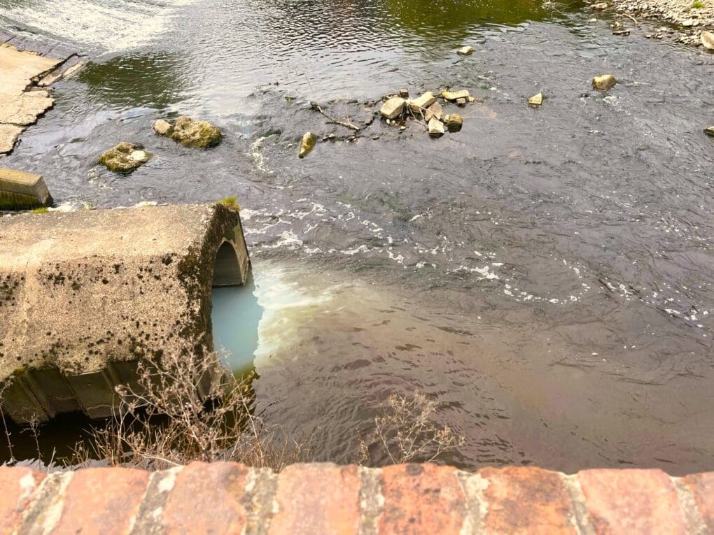 BIG RIVER WATCH reveals water health picture