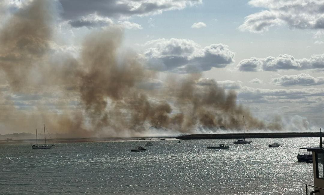 FIRE in nature reserve