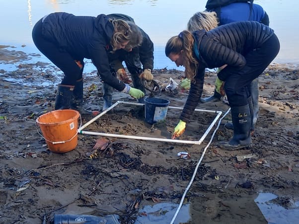 Inspired by the work of Thames21 and its volunteers, the Port of London Authority (PLA) and Thames Water have decided to clear ‘wet wipe island’ in Hammersmith.