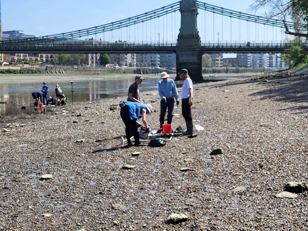 Inspired by the work of Thames21 and its volunteers, the Port of London Authority (PLA) and Thames Water have decided to clear ‘wet wipe island’ in Hammersmith.