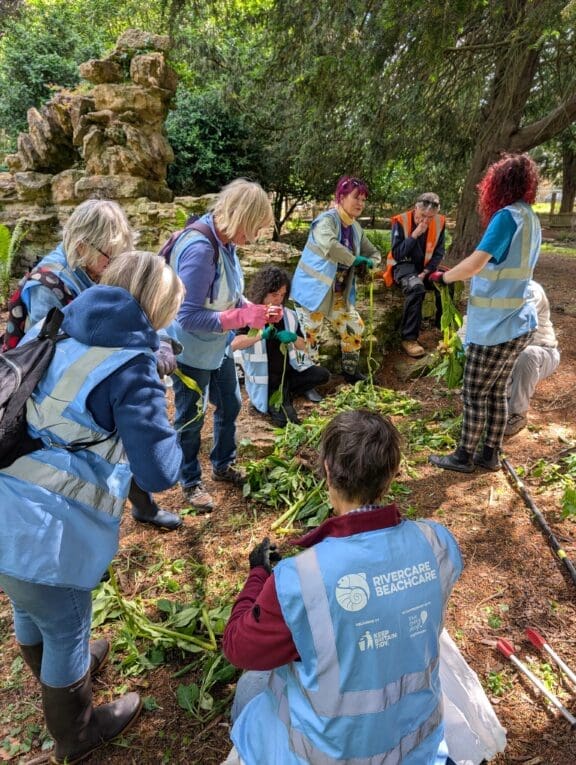 BALSAM BASHERS tackling invasive species