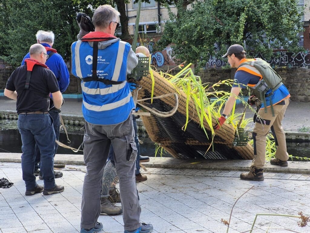 A reedbed is lowered into the water.