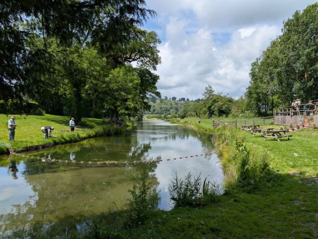 Back in June, keen anglers gathered at Meon Springs Fly Fishery in Hampshire for the Three Fly Challenge, a friendly one-day tournament organised by trust volunteer Neil Mundy which raises funds to support the charity’s river conservation work nationwide.